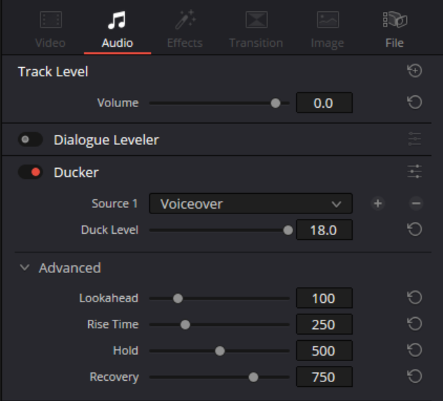 Davinci Resolve Inspector
